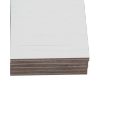 India market 12mm two face white melamine plywood for furniture